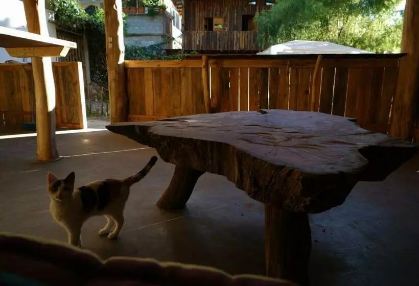 هاستل Casa Madera