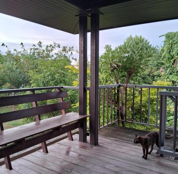 Bed and Breakfast Rabbit House