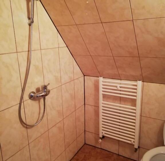 ペンション Casa De Vacanta Padis