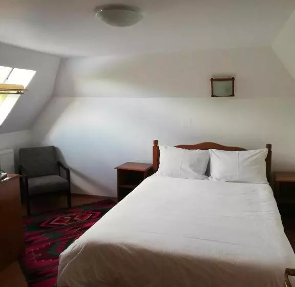 Majatalo Casa De Vacanta Padis