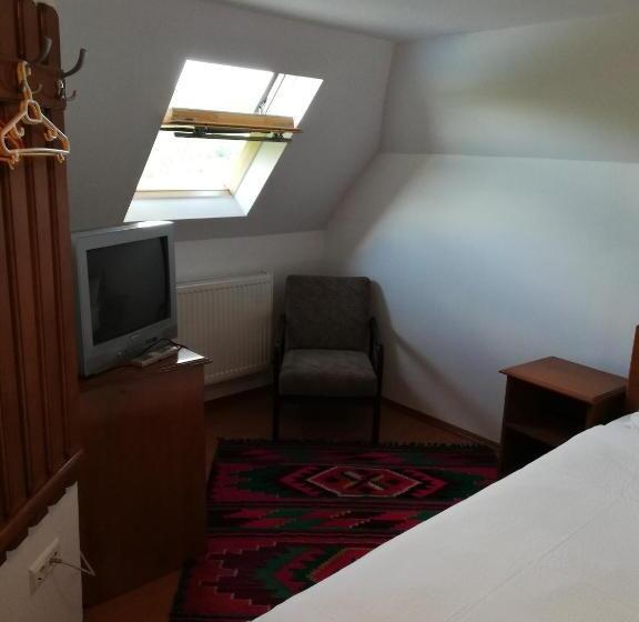 ペンション Casa De Vacanta Padis