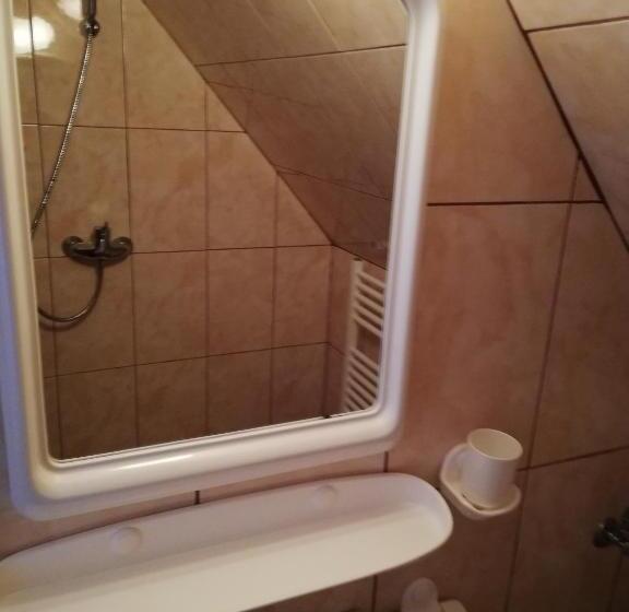 ペンション Casa De Vacanta Padis