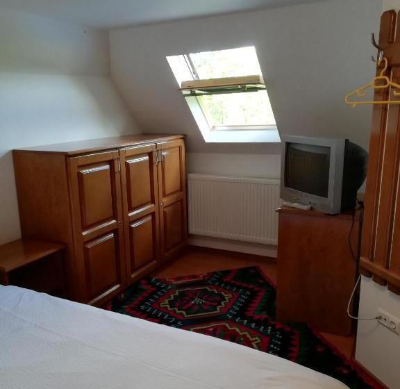 ペンション Casa De Vacanta Padis