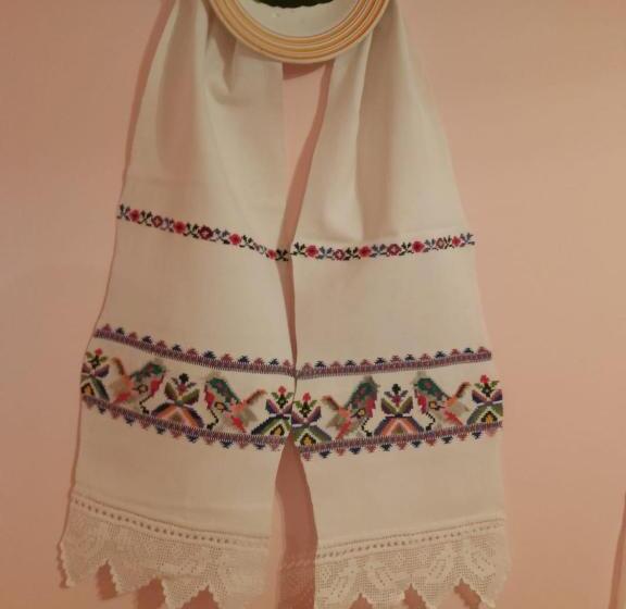 ペンション Casa De Vacanta Padis