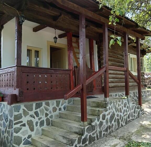 ペンション Casa De Vacanta Padis