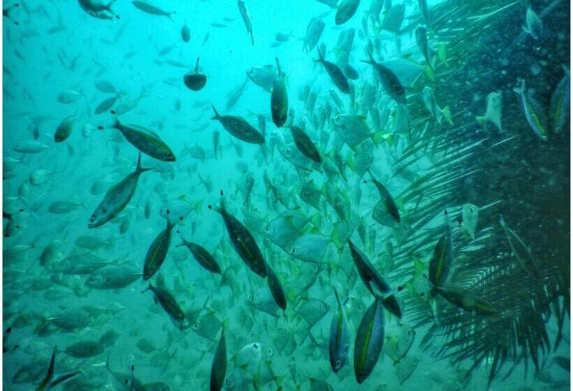 פנסיון Eden Beach Resort