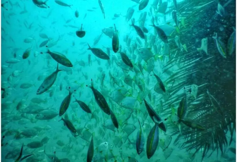 Majatalo Eden Beach Resort