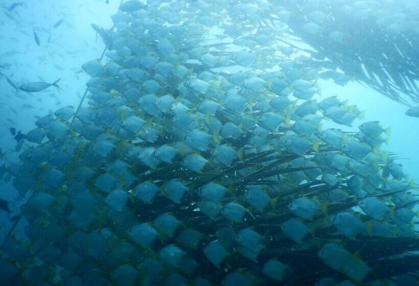 פנסיון Eden Beach Resort