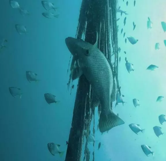 Majatalo Eden Beach Resort