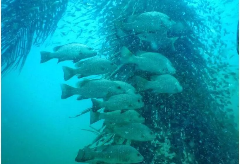 Majatalo Eden Beach Resort