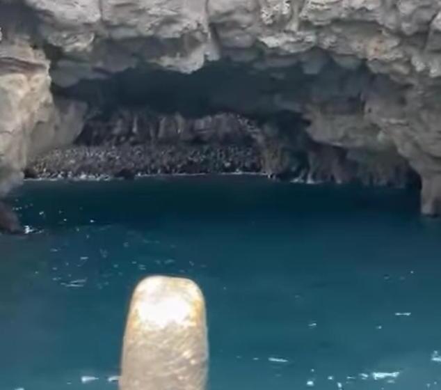 استراحتگاه Porton D Holanda