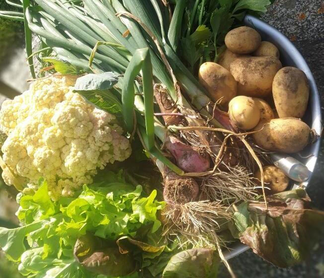 צימר Mouli Del Riu