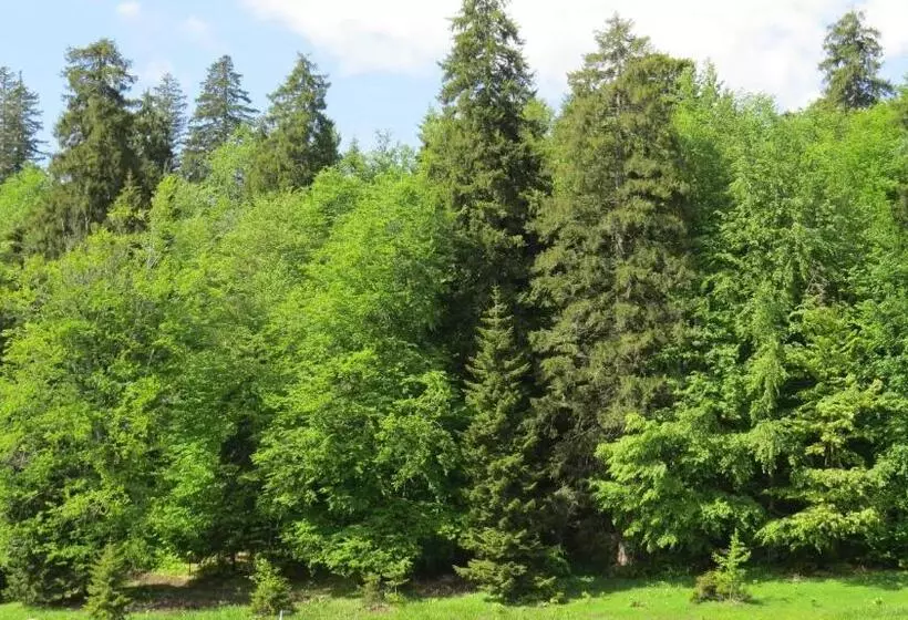 هتل Chalet Kokhta