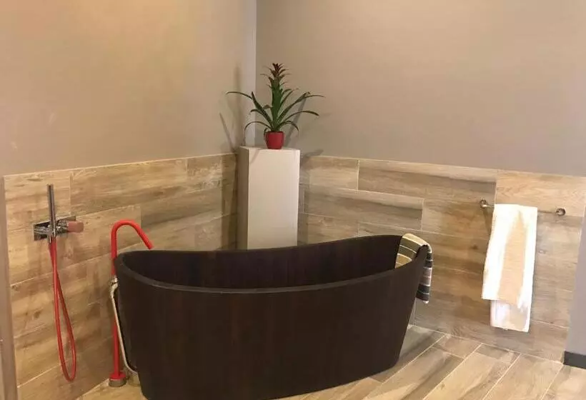 ホテル Hôtel Restaurant D'alibert