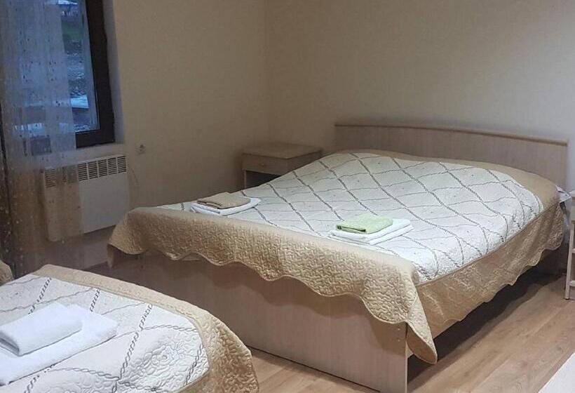 هتل Riverside Mestia