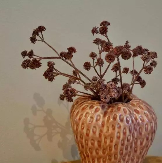 ベッドアンドブレックファースト La Vita Veluwe