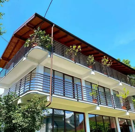 ペンション Casa Ionuț