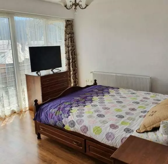 ペンション Casa Ionuț