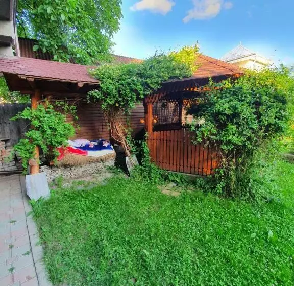 ペンション Casa Ionuț