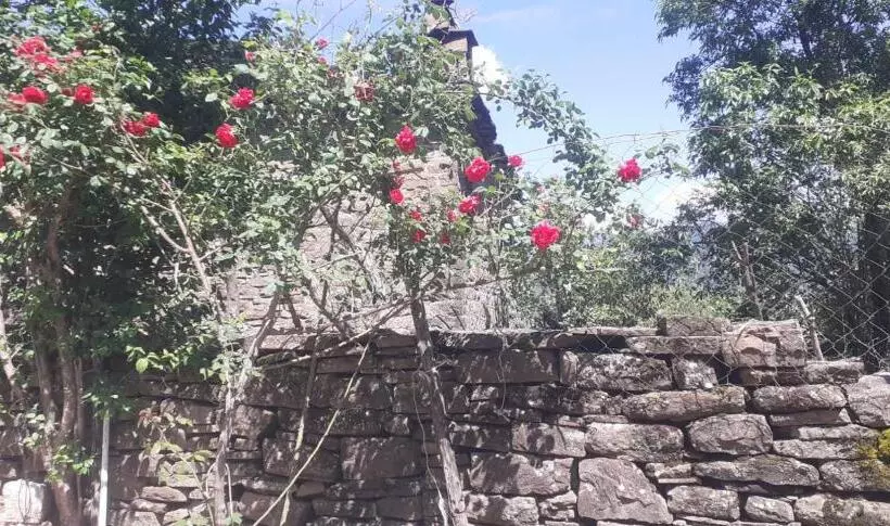 ペンション Guest House In Buhal