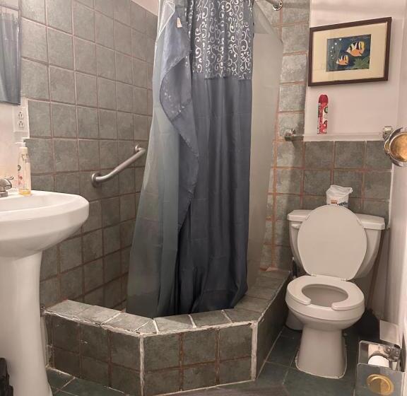 旅馆 Macaw Guest House