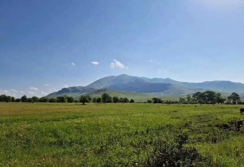 هتل Dreamfarm