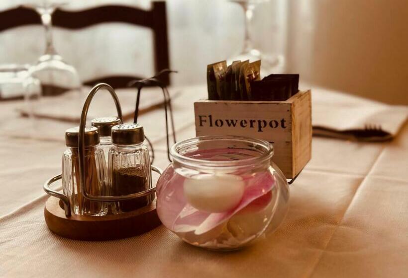 הוסטל B&b Banatium