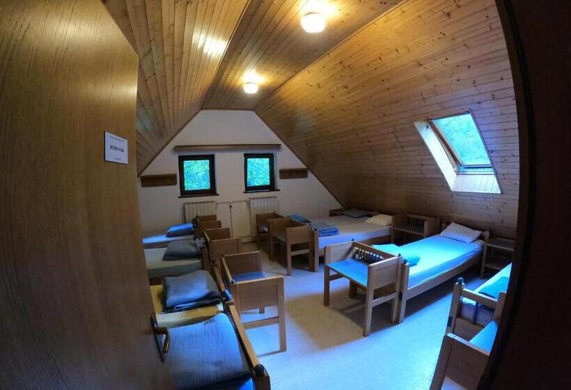 هاستل Pus Bavšica