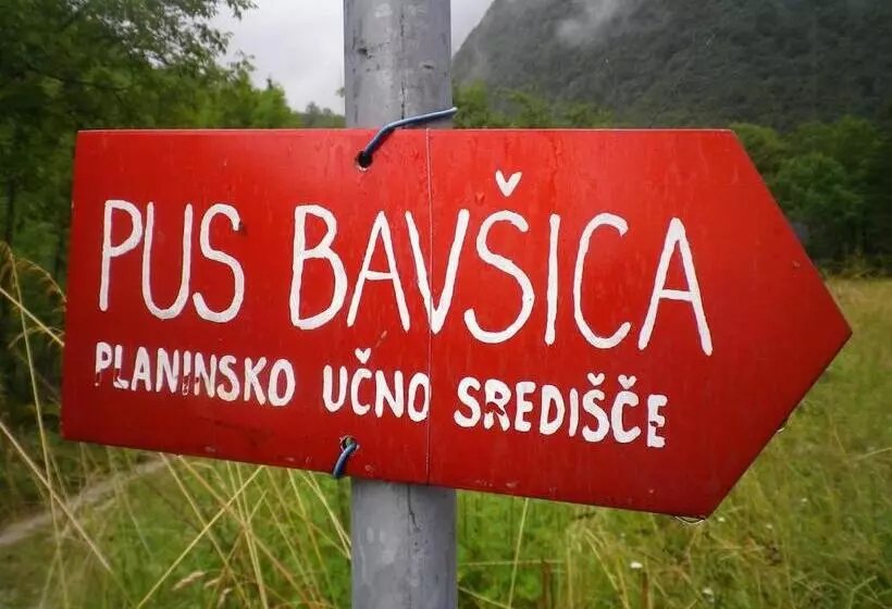 هاستل Pus Bavšica