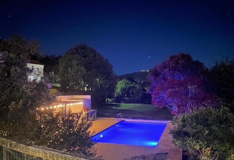 تختخواب و صبحانه The Quixote House