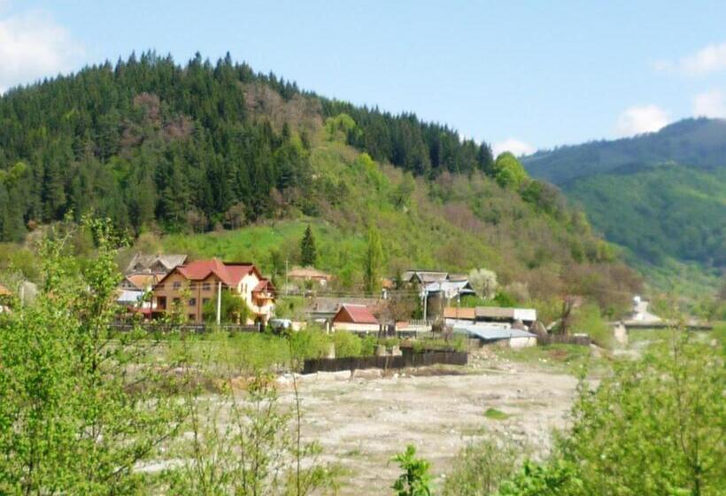 酒店 Casa De Vacanta Eva