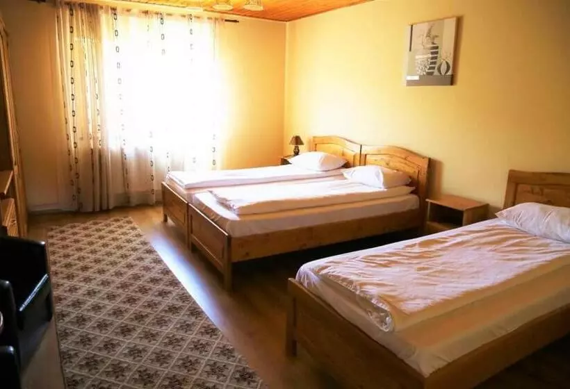 Hotelli Casa De Vacanta Eva