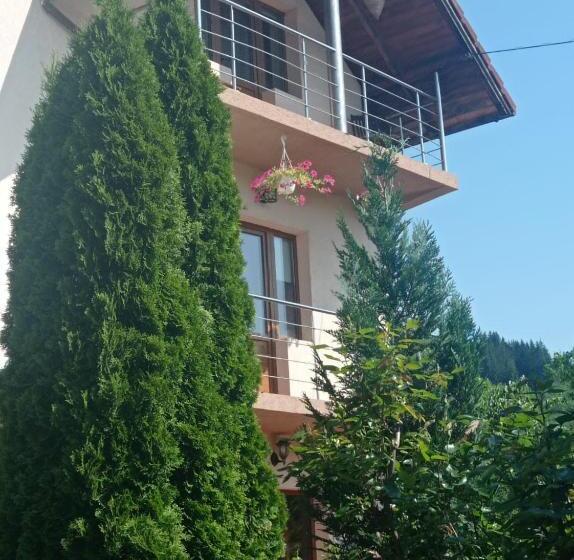 酒店 Casa De Vacanta Eva