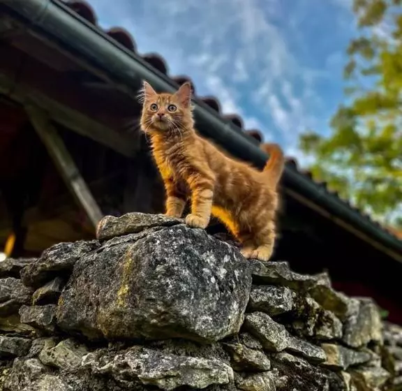 ペンション La Cabane De César Les Eyzies De Tayac