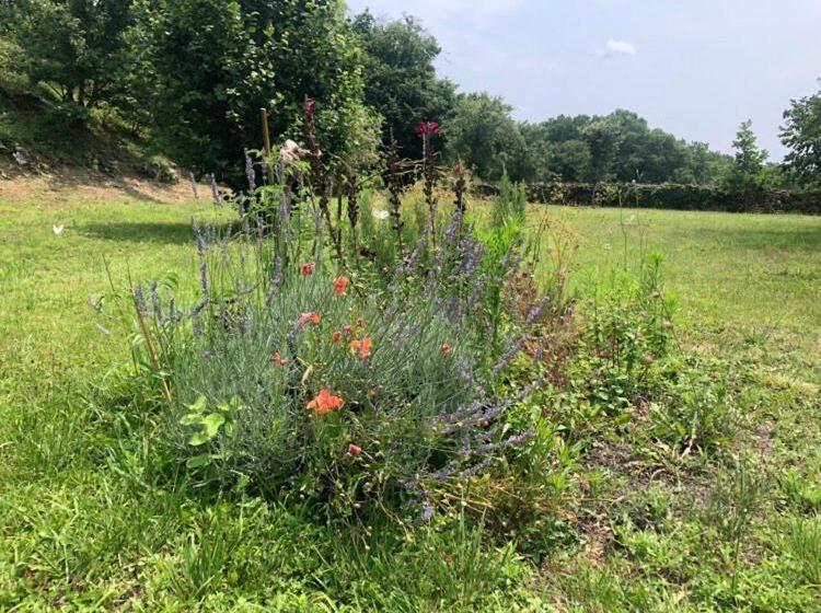 פנסיון La Cabane De César Les Eyzies De Tayac