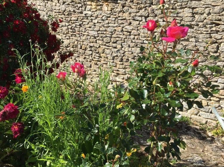 פנסיון La Cabane De César Les Eyzies De Tayac