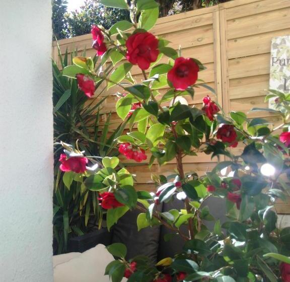 هاستل Glamorgan