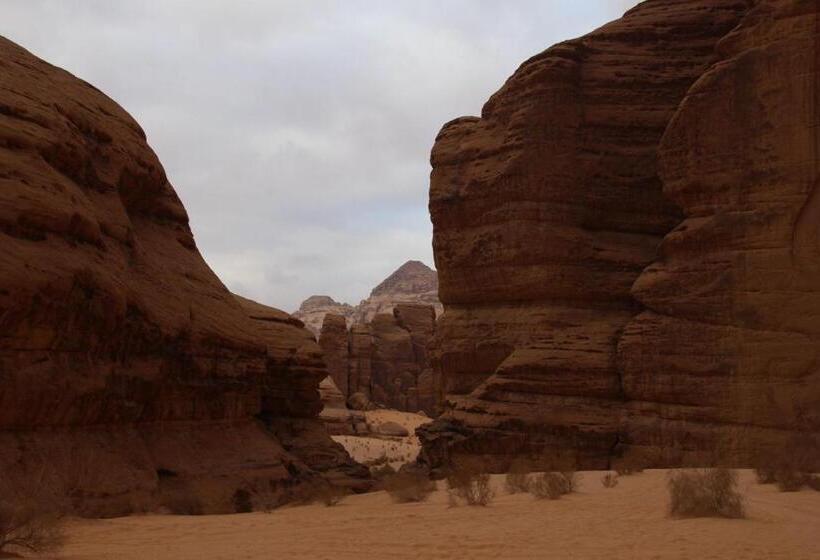 تختخواب و صبحانه Sky Light Wadi Rum