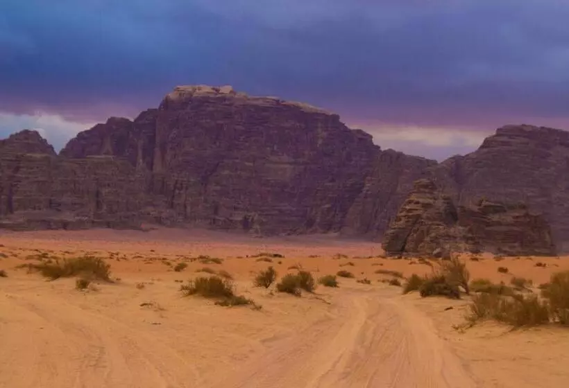 تختخواب و صبحانه Sky Light Wadi Rum