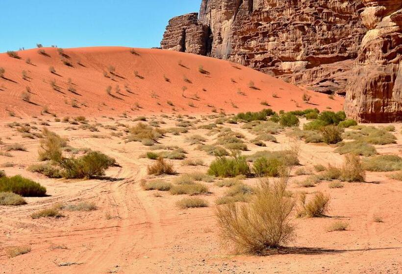 تختخواب و صبحانه Sky Light Wadi Rum