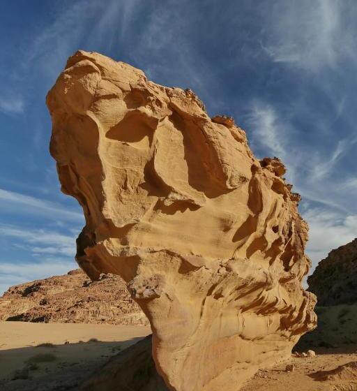 تختخواب و صبحانه Sky Light Wadi Rum