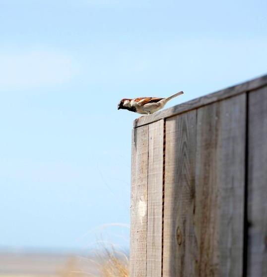 Отель Dormir Sur La Plage