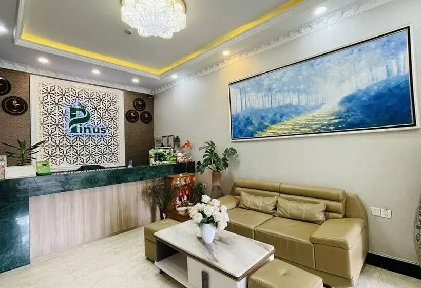 هتل Pinus