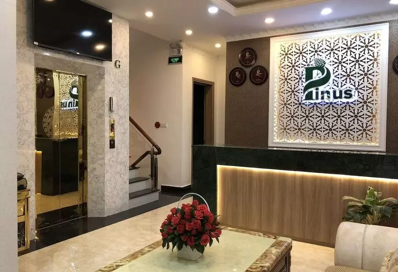 هتل Pinus