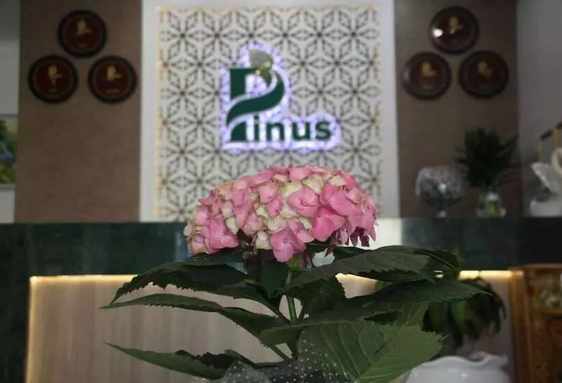 هتل Pinus