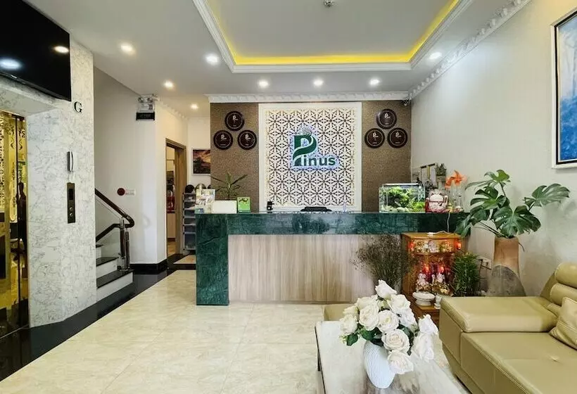 هتل Pinus