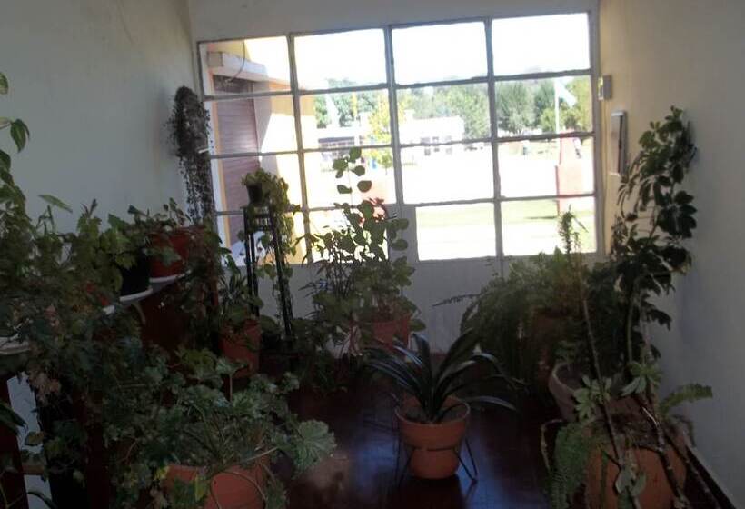 ホテル San Carlos