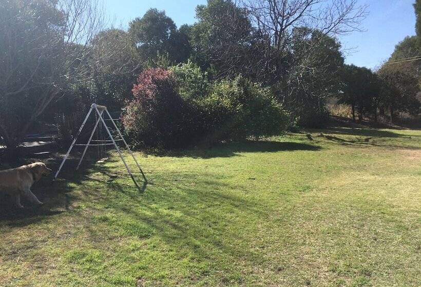 ホテル San Carlos