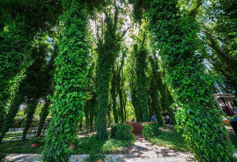 ホテル Sebastiano Resort