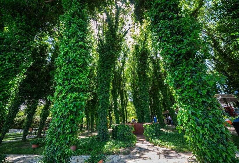 ホテル Sebastiano Resort